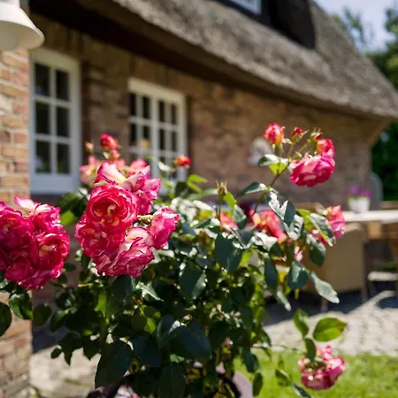 Reethueues Hotel