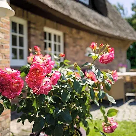 Reethueues Hotel